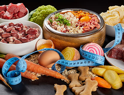 Addressing special dietary requirements