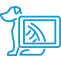 Diagnostic tools and methods