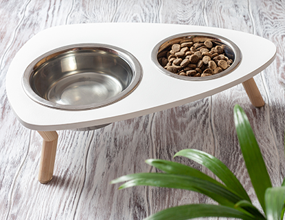 The importance of hydration and treats
