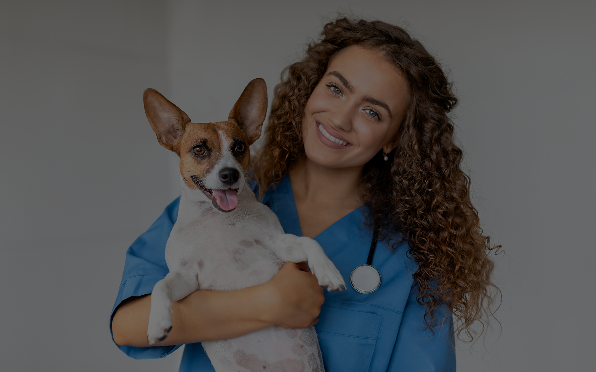 Understanding pet veterinary care in Canada